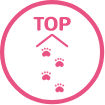TOPに戻る